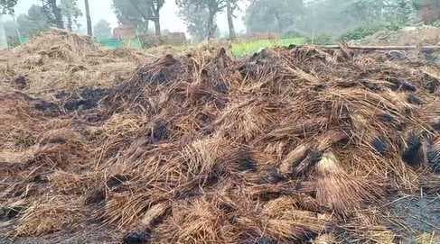 गोड्डा में खलिहान में आग, 8 बीघे धान की फसल जलकर राख