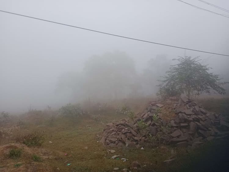 Chaibasa News : घने कोहरे की गिरफ्त में पश्चिमी सिंहभूम