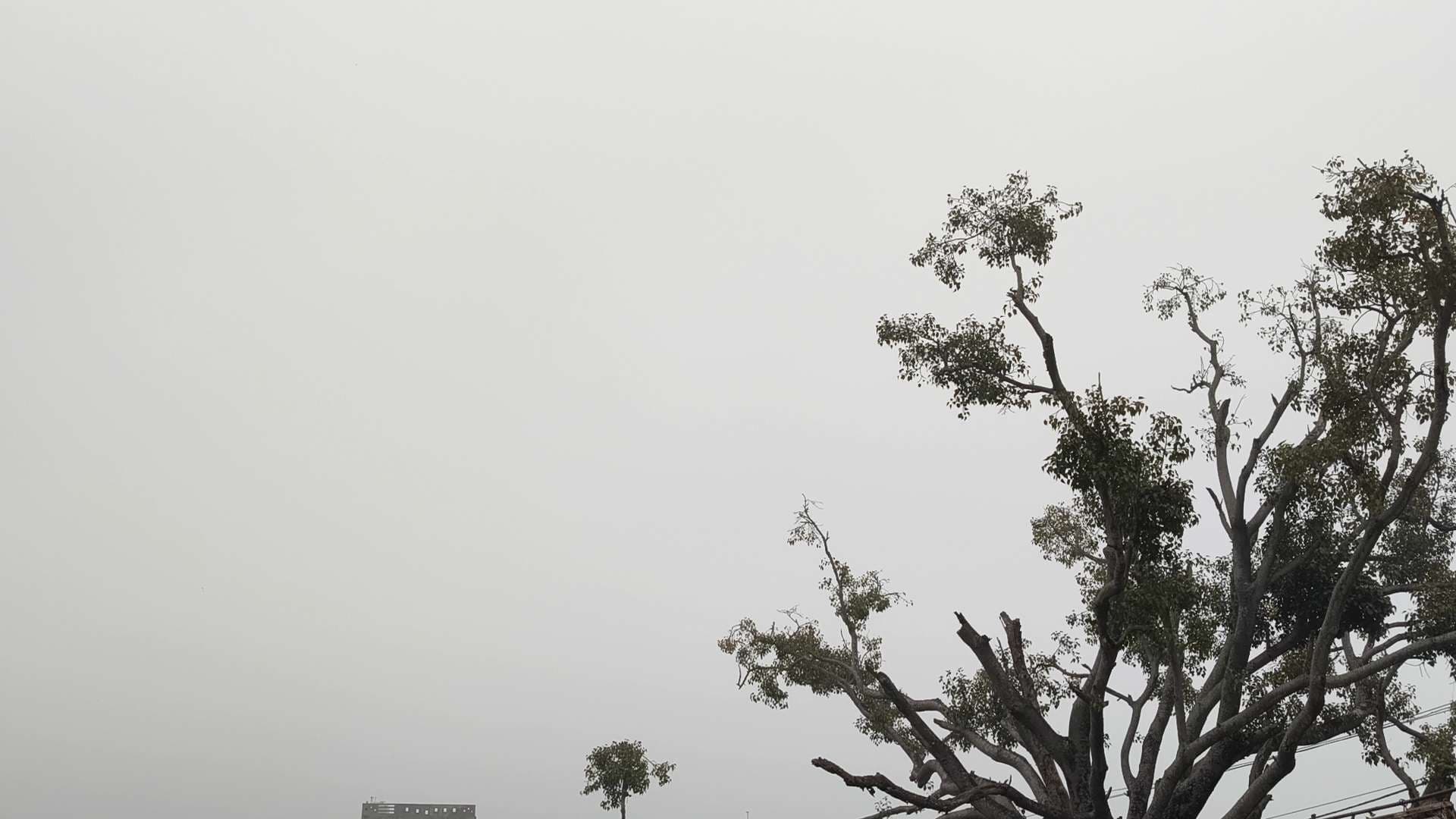 पछुआ हवा व बढ़ती ठंड ने आमलोगों की बढायी मुश्किलें