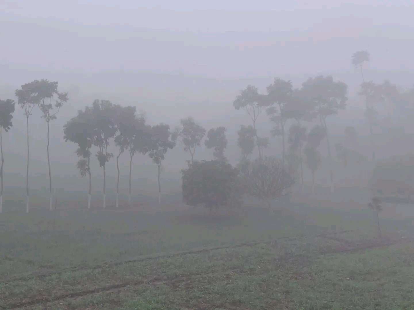शीतलहर से जनजीवन अस्त-व्यस्त, शहर से लेकर गांव तक कांप रहे लोग