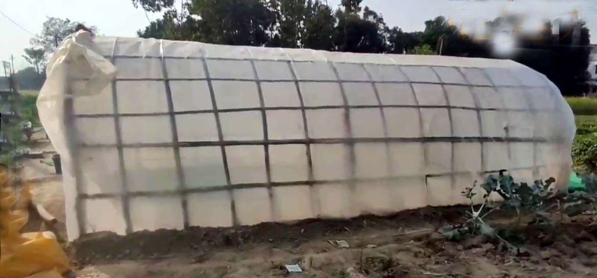 ठंड में किसान जुगाड़ उपाय से चार से पांच दिन में उगा सकते है सब्जी के पौधे