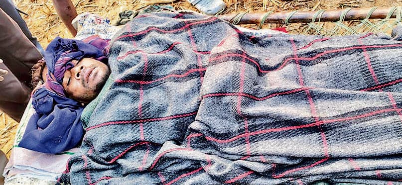 Seraikela Kharsawan News : जंगल में शौच गये युवक को हाथी ने सूंड से उठाकर खेत में फेंका, घायल