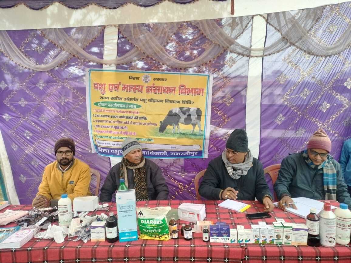 Samastipur News:पशु बांझपन निवारण शिविर में दर्जनों पशुओं की गई जांच