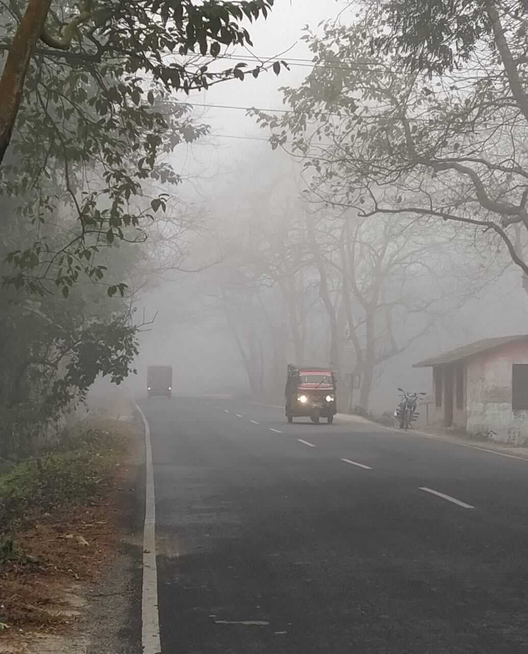 जिले में वादियों जैसी ठंड, कोहरे से परेशानी