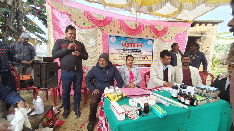 शिविर में पशुओं के स्वास्थ्य की जांच, बीमारी से बचाव की दी जानकारी