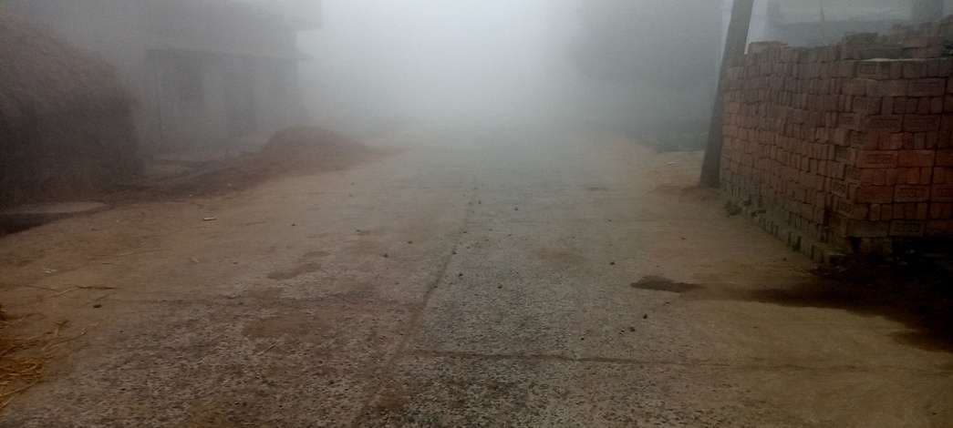 ठाकुरगंगटी में शीतलहर और कोहरे से जनजीवन प्रभावित