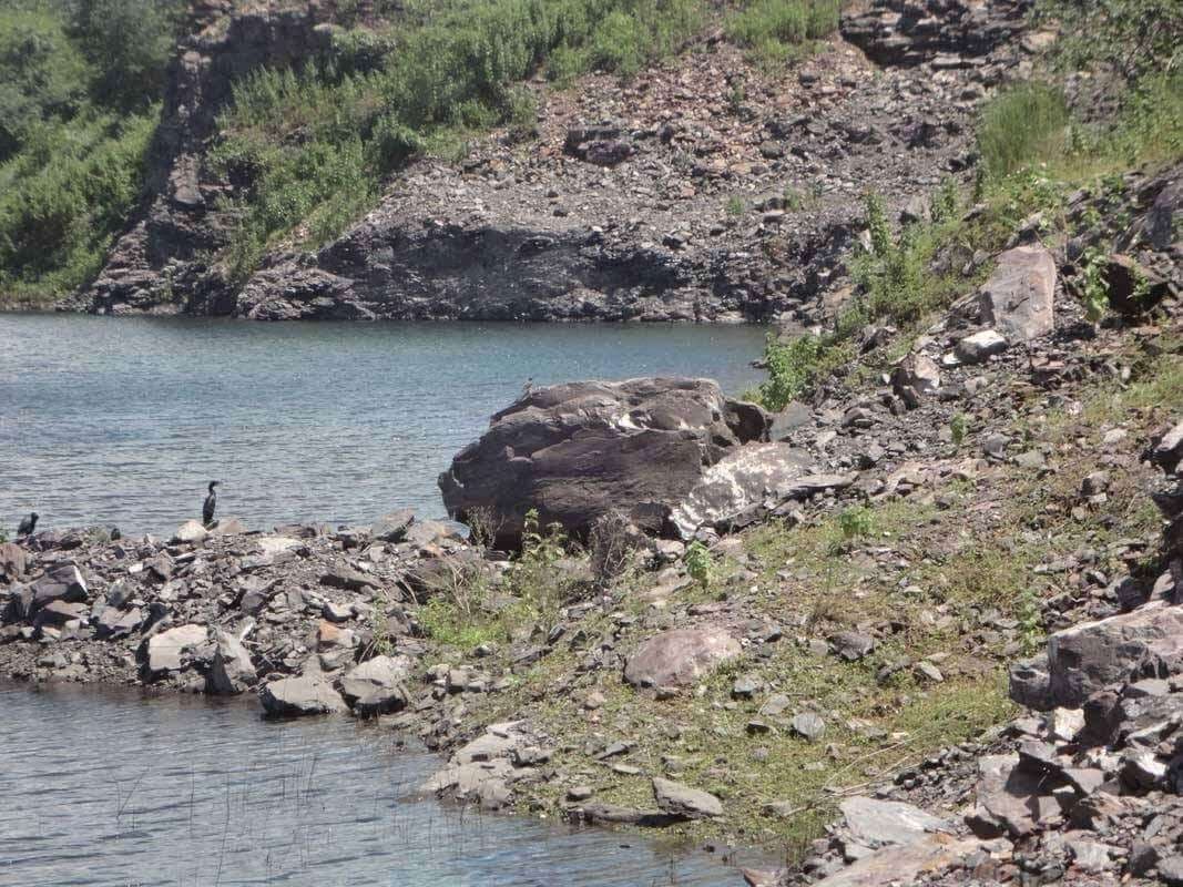 Bokaro News : बेरमो में इस वर्ष भी नहीं चालू हो सकीं कई बंद माइंस