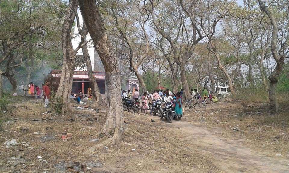 भदसी जंगल : प्रकृति की गोद में पिकनिक मनाने की तैयारी, नये साल पर उमड़ेगी भीड़