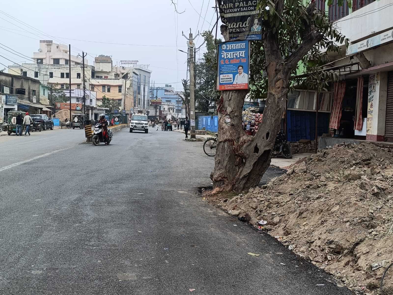 Madhubani News : नहीं हटाया गया सड़क के बीच से पेड़ व बिजली का पोल