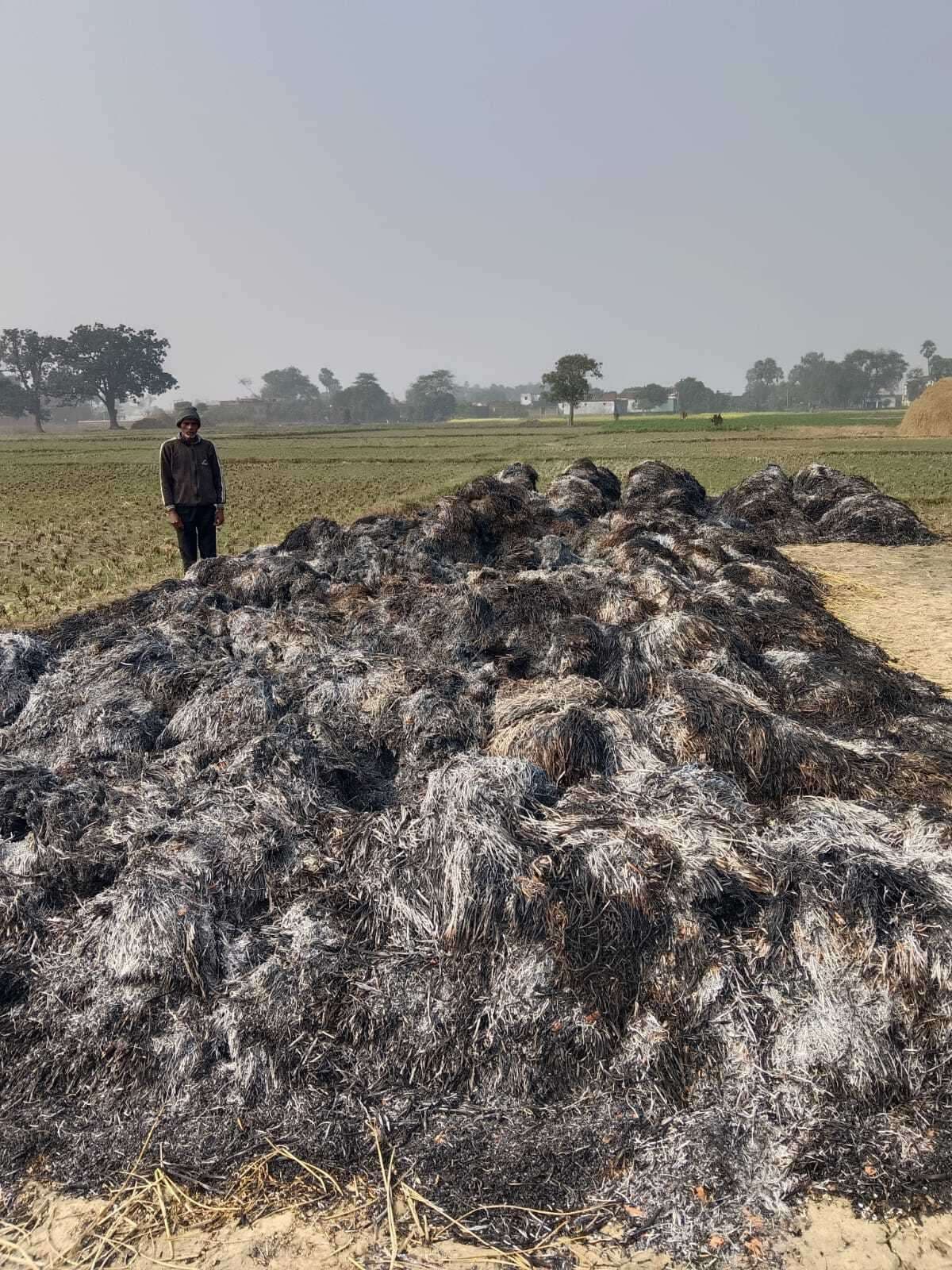 असामाजिक तत्वों ने खलिहान में रखे पांच बीघे का धान जलाया