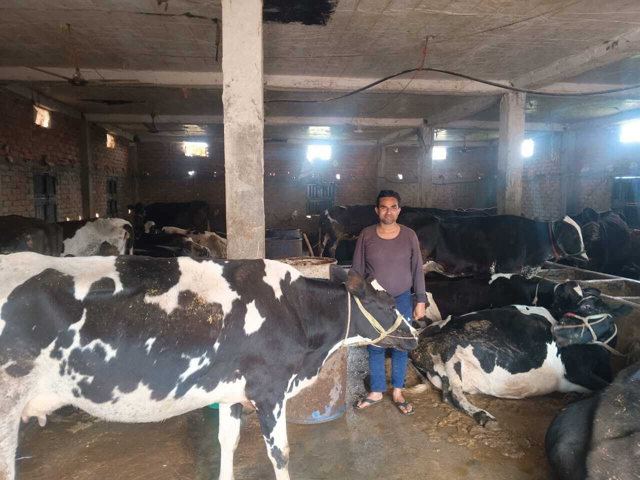 Samastipur News: ढाई दर्जन गाय, हरेक माह डेढ़ लाख की आय