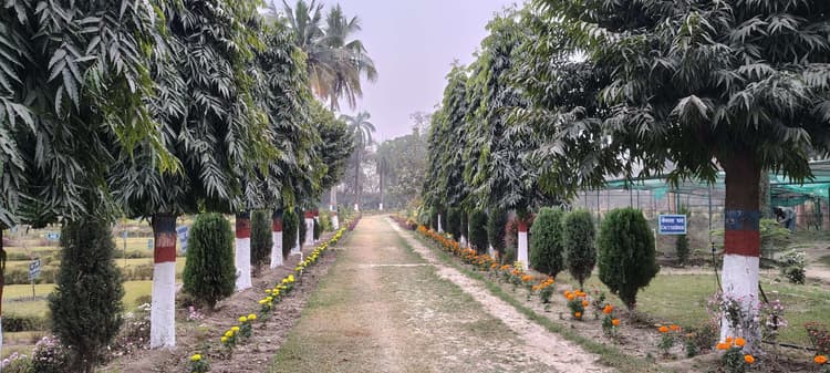 Samastipur News:बोस कम्पनी चौक से पोस्ट ऑफिस चौक तक नववर्ष पर रहेगा वनवे