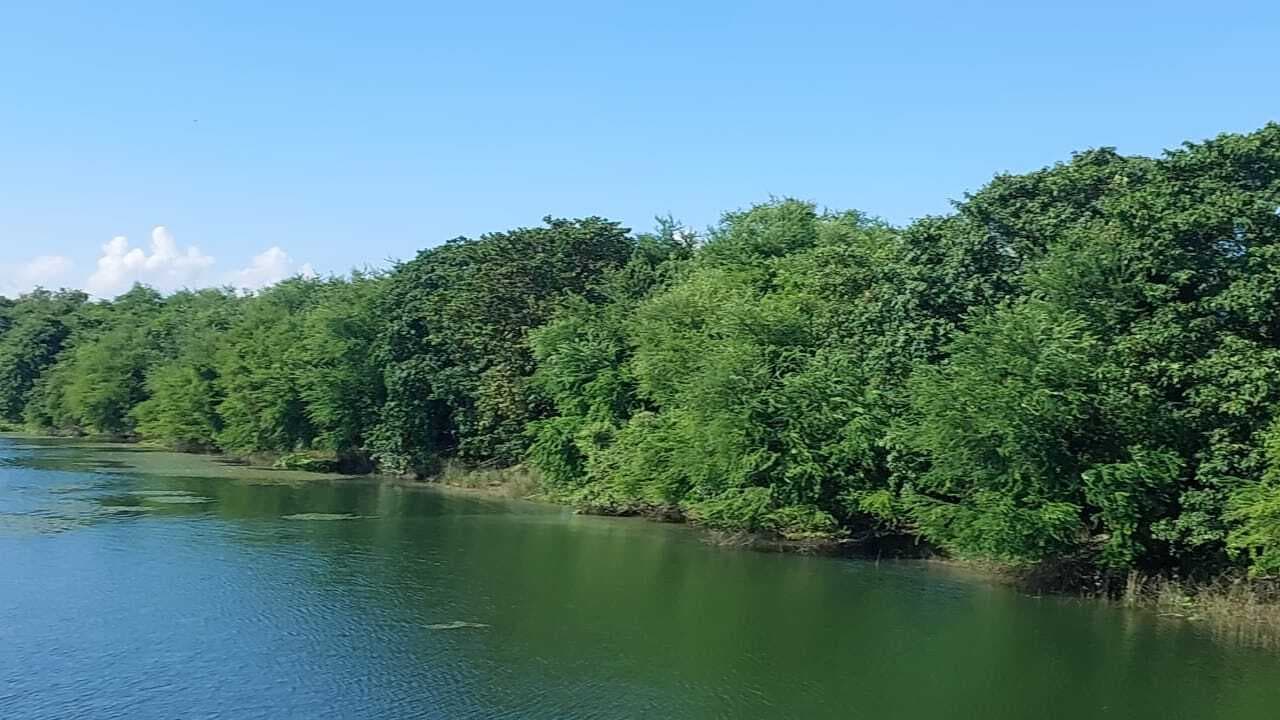 कुरसेला के गाइड बांध झील, संगम तट पर नये साल में उमड़ेगी लोगों की भीड़