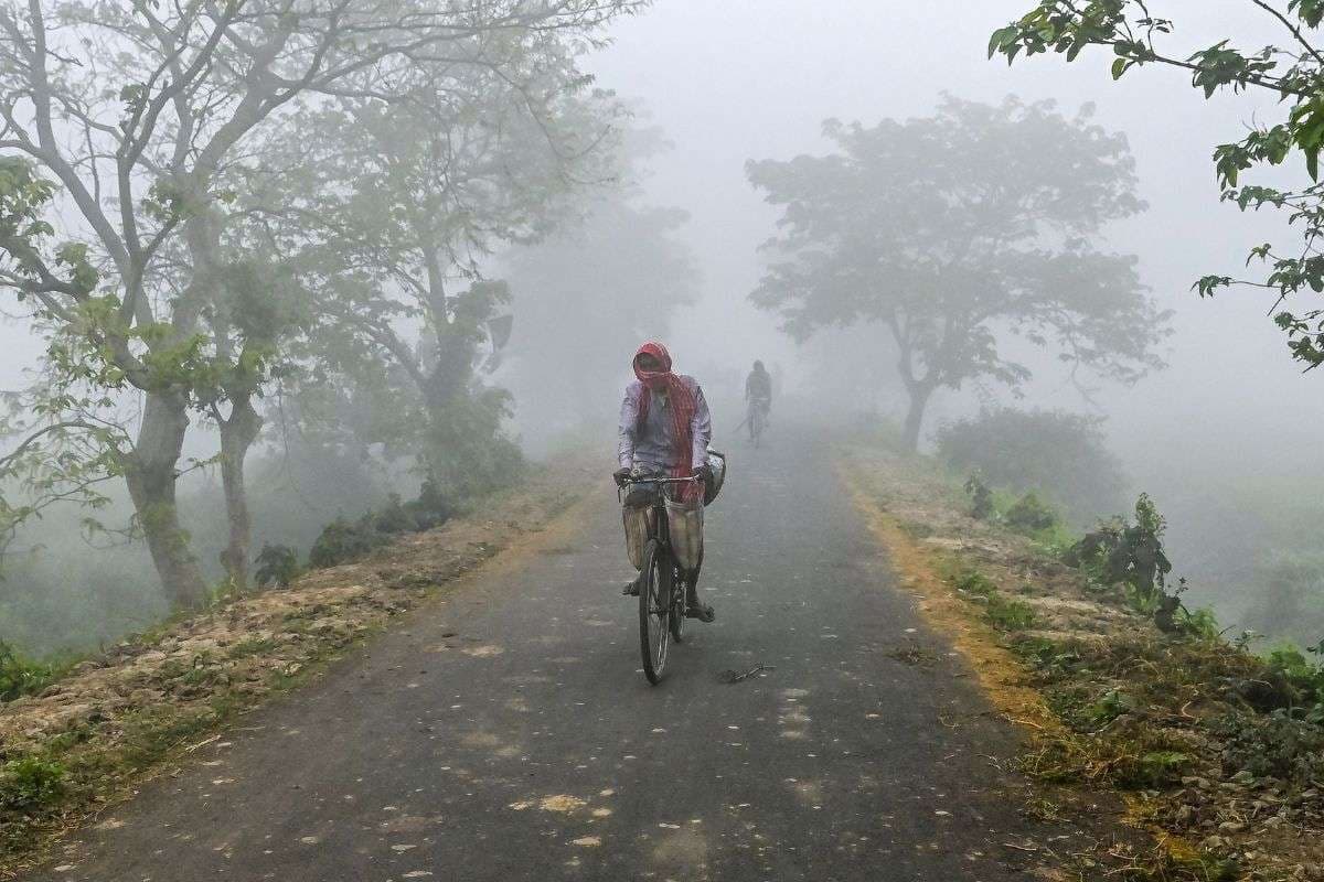 Cold Wave: अगले 3-4 दिन इन राज्यों में हाड़ कंपाने वाली ठंड, घना कोहरा छाए रहने की संभावना, बारिश का अलर्ट जारी