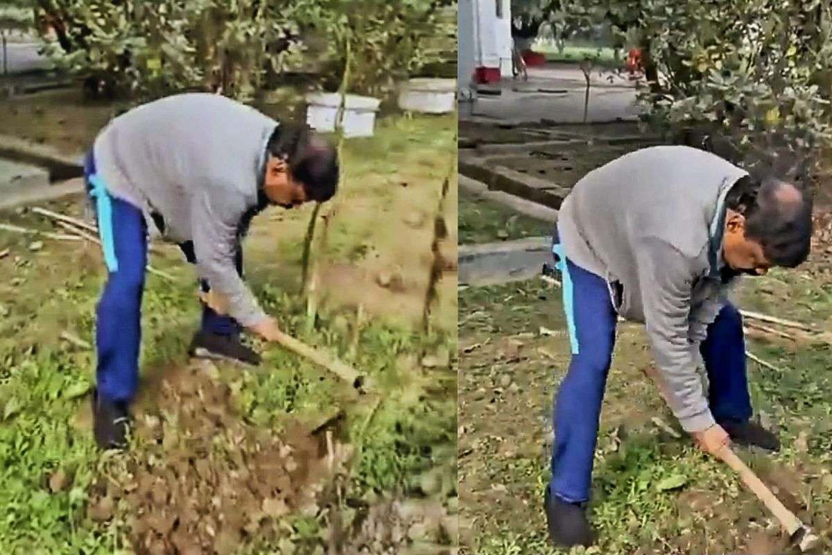 Video: रिटायर्ड IAS डॉ. एस. सिद्धार्थ का वीडियो सोशल मीडिया पर वायरल, अपने गार्डन में चला रहे हैं कुदाल
