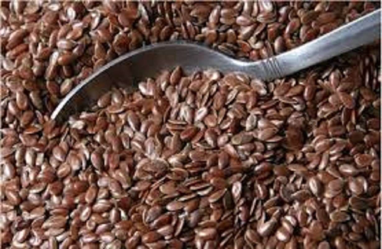 Bihar News: बिहार को मिला तीसी 206 प्रभेद का पेटेंट, आवेदन के 10 साल बाद आया सार्टिफिकेट