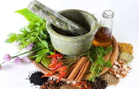 Aayush: पारंपरिक चिकित्सा पर जारी ‘दिल्ली घोषणापत्र’ से इनोवेशन और रिसर्च को मिलेगा बढ़ावा