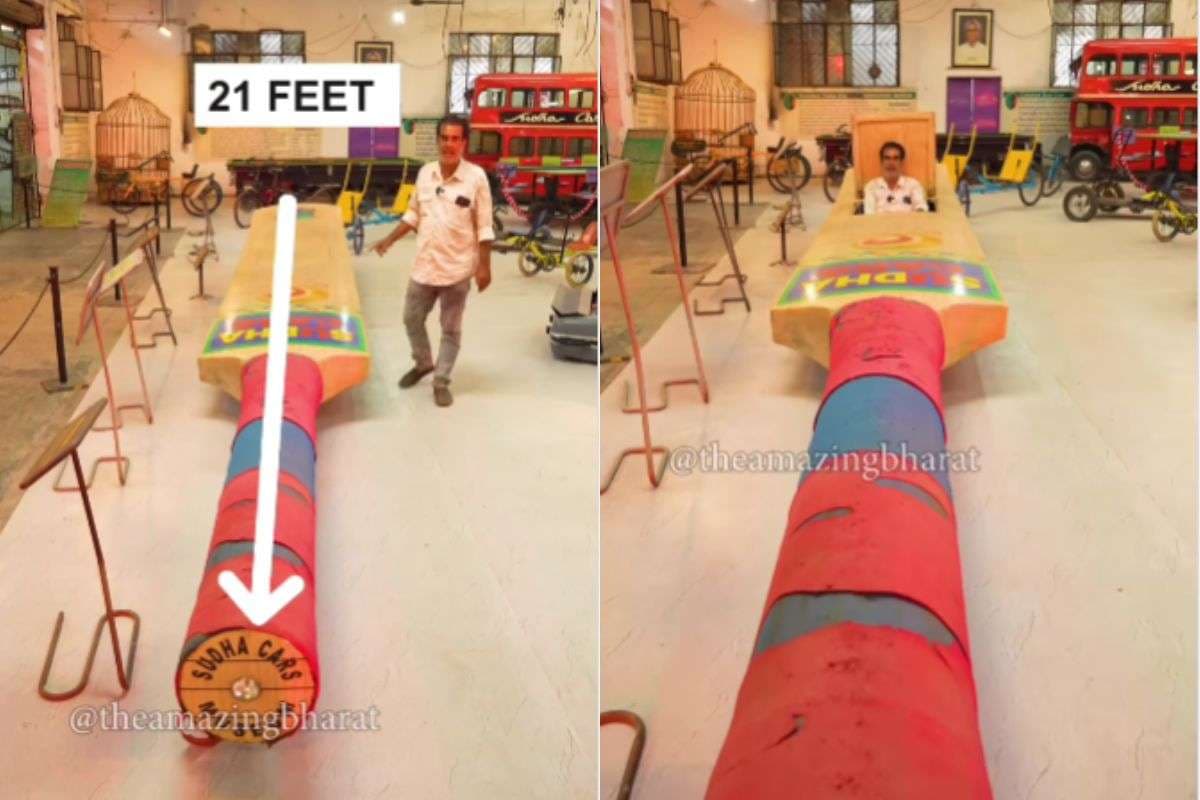 viral video 21 feet cricket bat car