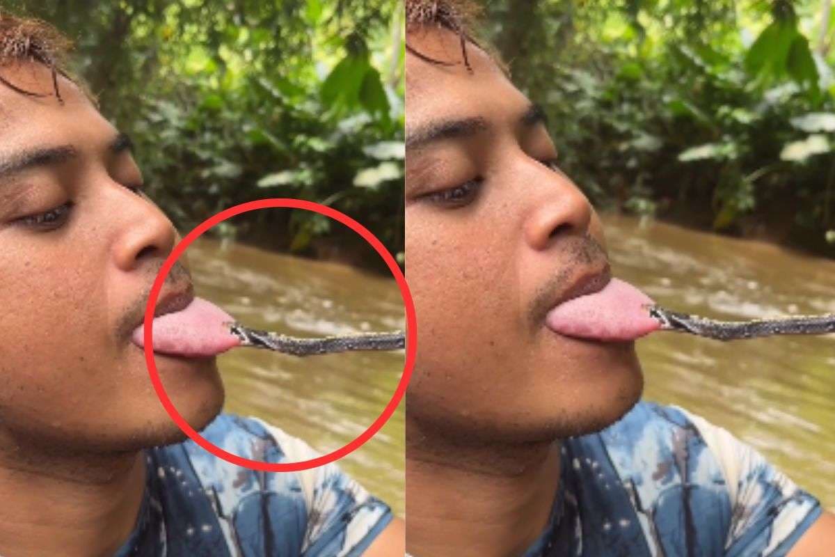 Viral Video: सांप ने काट दी व्यक्ति की जीभ, वीडियो देखकर कांप जाएगी रूह