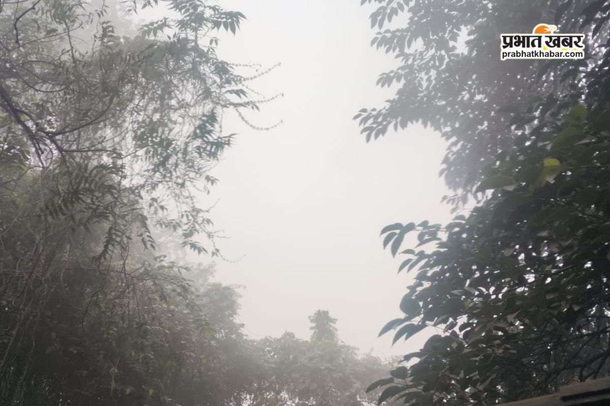 Bihar Weather: जारी रहेगी सर्दी, 4 डिग्री तक गिरेगा पारा, अधिकतर हिस्से में जारी रहेगा कोहरे का कहर