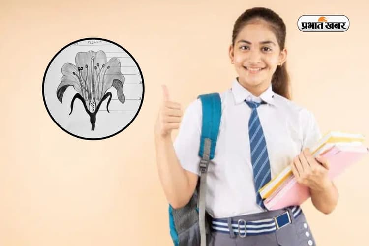 बायोलॉजी बोर्ड एग्जाम का Secret! डायग्राम सही तो स्कोर High