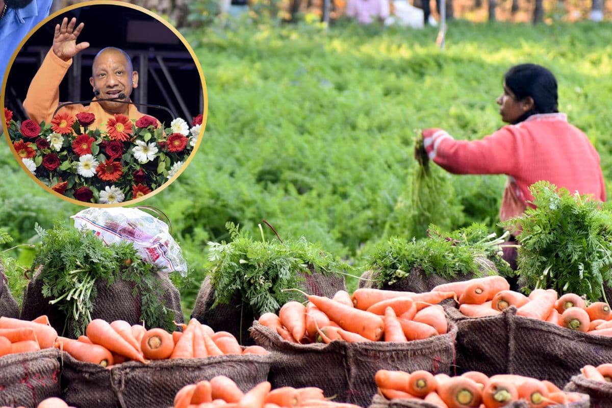 Kisan Yojana : मुख्यमंत्री कृषक दुर्घटना कल्याण योजना बनी किसानों के लिए मजबूत सुरक्षा कवच