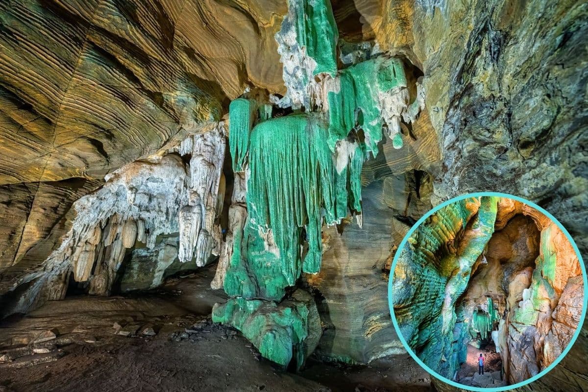 छत्तीसगढ़ की कांगेर घाटी में मिली अनोखी ग्रीन गुफा, पर्यटन के खुलेंगे नए द्वार