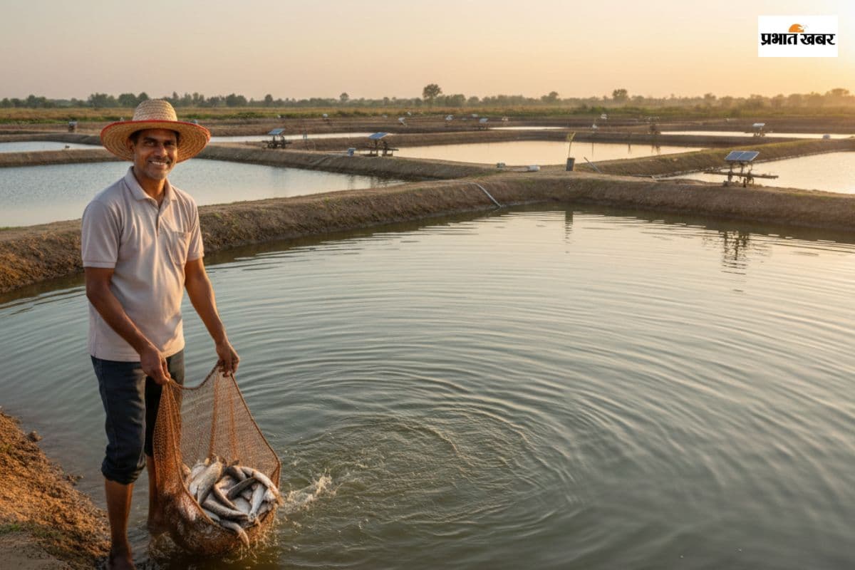 तालाब आपका पैसा सरकार का, मछली पालन पर पाएं 60% सब्सिडी, जानें आवेदन करने का आसान तरीका