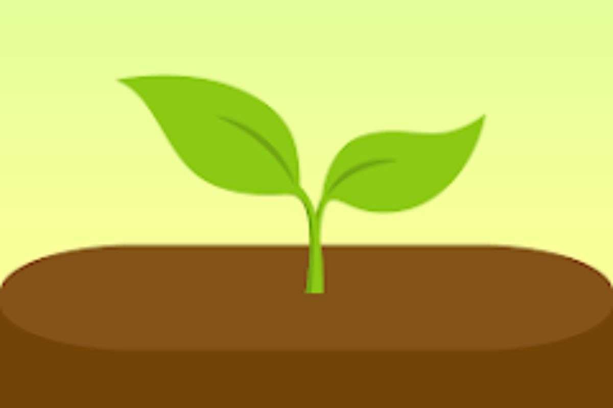 फोकस ऐप्स क्या सच में काम आते हैं? प्रोडक्टिविटी बढ़ाने में कितने असरदार?