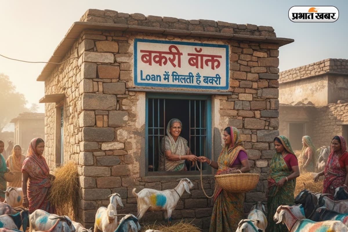 Goat Bank: पैसा और ब्लड बैंक तो सुने होंगे, क्या आपने कभी बकरी बैंक के बारे में सुना है ? जानिए बकरी बैंक