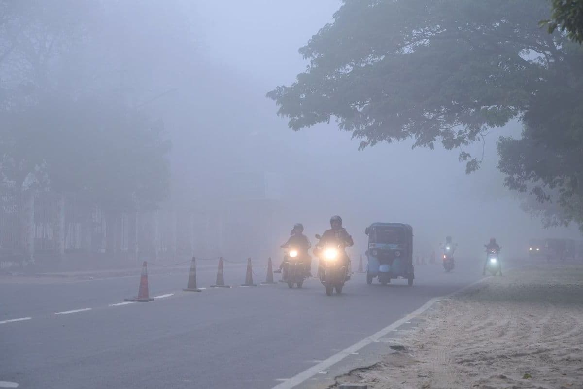 बिहार में ठंड के साथ कोहरे का डबल अटैक, कई जिलों में अलर्ट, मौसम विभाग की चेतावनी