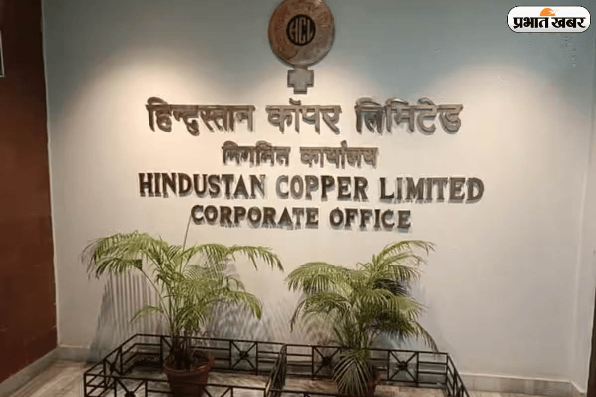 EV और AI का बढ़ा क्रेज, हिंदुस्तान कॉपर के शेयरों ने लगा दी 13% की लंबी छलांग