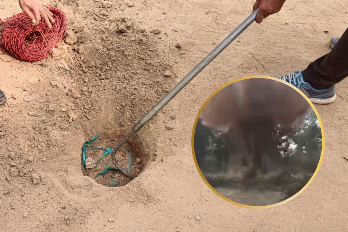 IED Defused : जोरदार धमाका और आईईडी हो गया डिफ्यूज, देखें वीडियो