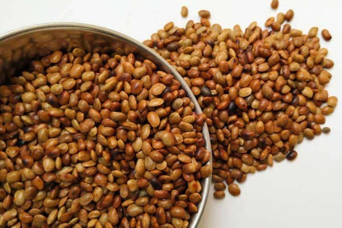 Kulthi Dal Benefits: सर्दियों में सेहत के लिए वरदान है कुल्थी दाल, जानें इसके जबरदस्त फायदे