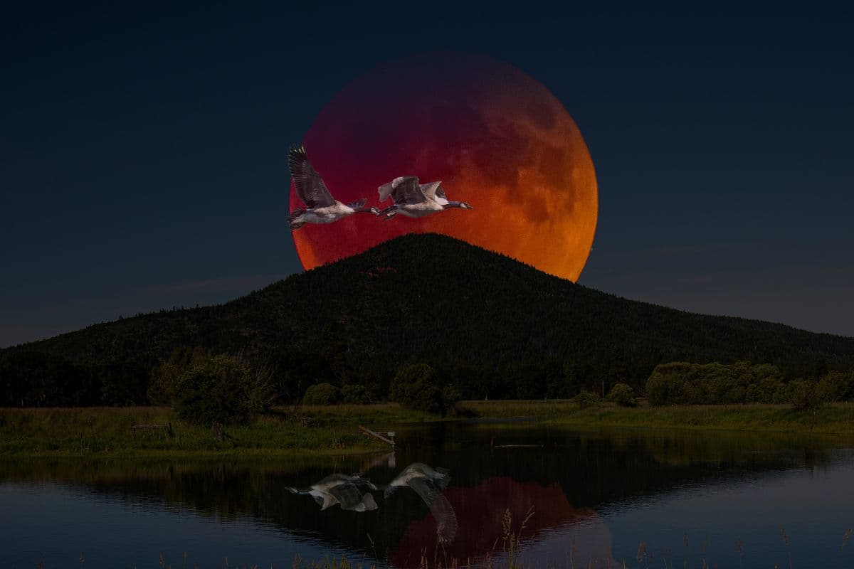 2026 के बाद 2028 में लगेगा पूर्ण चंद्रग्रहण, इस दिन दिखेगा, जानें इस साल की सभी पूर्णिमा की तारीख और उनके अंग्रेजी नाम 