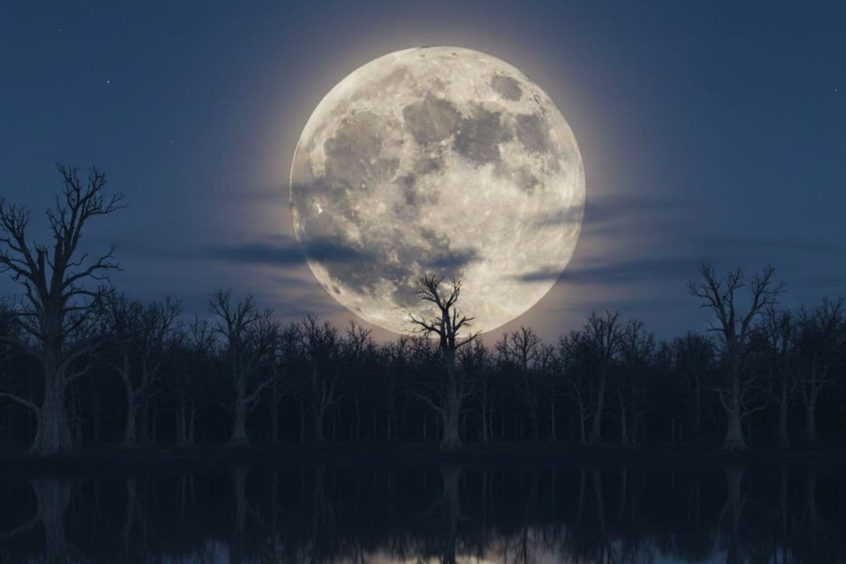 Magh Purnima 2026: 1 फरवरी को है माघ पूर्णिमा, जानें इस दिन क्या करना शुभ है और क्या करना अशुभ