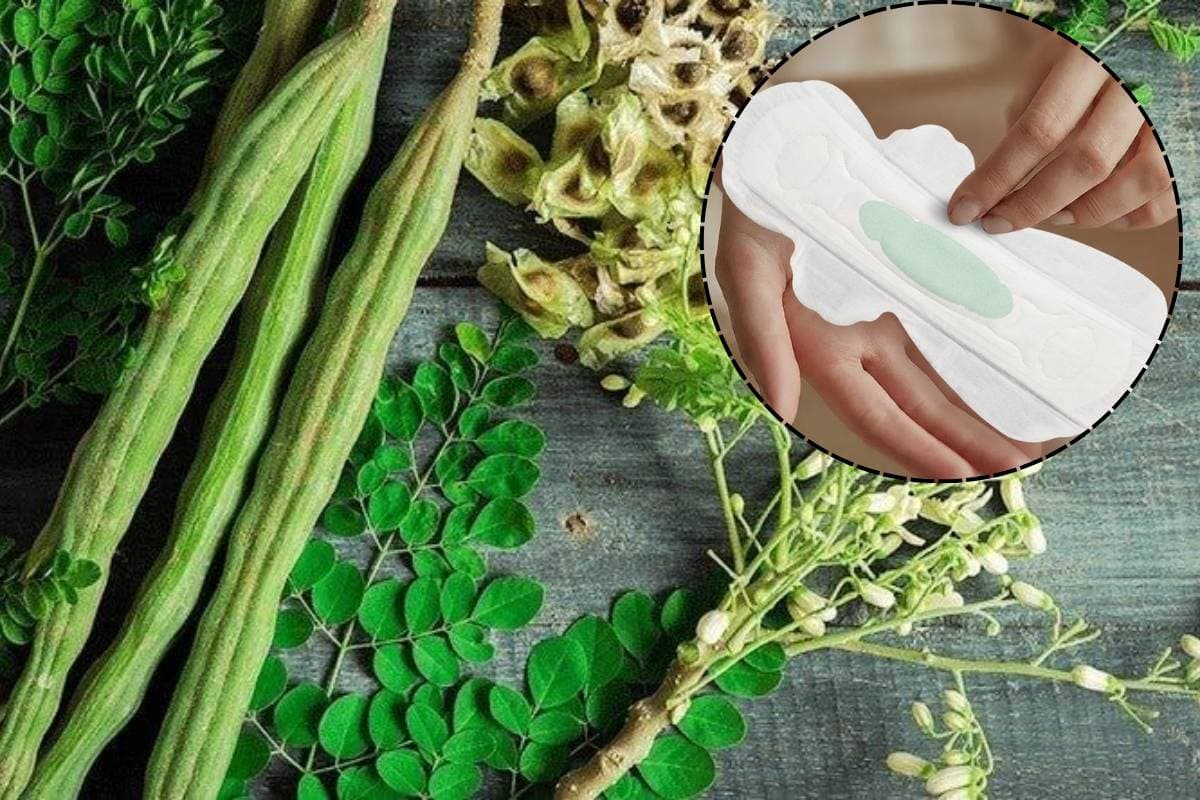 पीरियड्स में इन्फेक्शन से बचने का नया उपाय: Moringa Sanitary Pads को एक्सपर्ट्स ने बताया गेमचेंजर