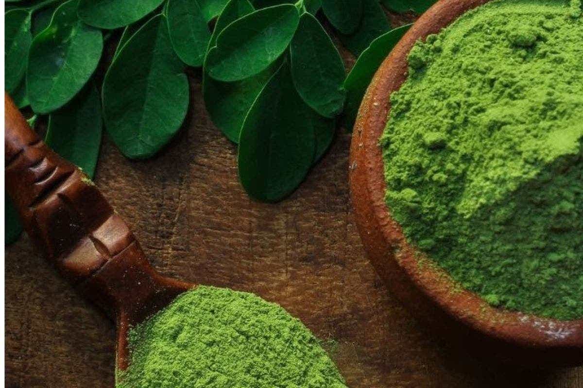 Moringa Powder Benefits: सर्दियों में मोरिंगा पाउडर के अद्भुत फायदे, जानें कैसे बढ़ाएं सेहत और इम्यूनिटी