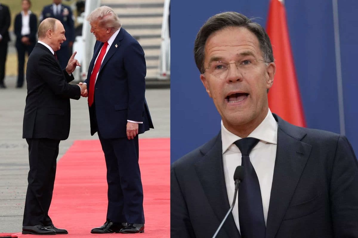 सपने देखना बंद करो, पुतिन को यह बहुत पसंद आएगा... NATO चीफ ने यूरोप को किस बात पर चेताया