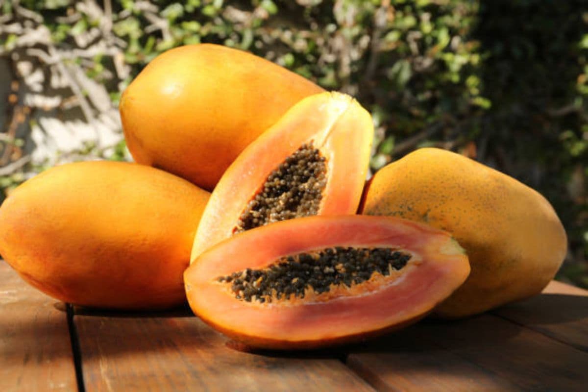 Papaya Seeds Benefits: बेकार समझकर कूड़े में फेंक देते हैं पपीते के बीज, तो जान लीजिए इसके चमत्कारी फायदे