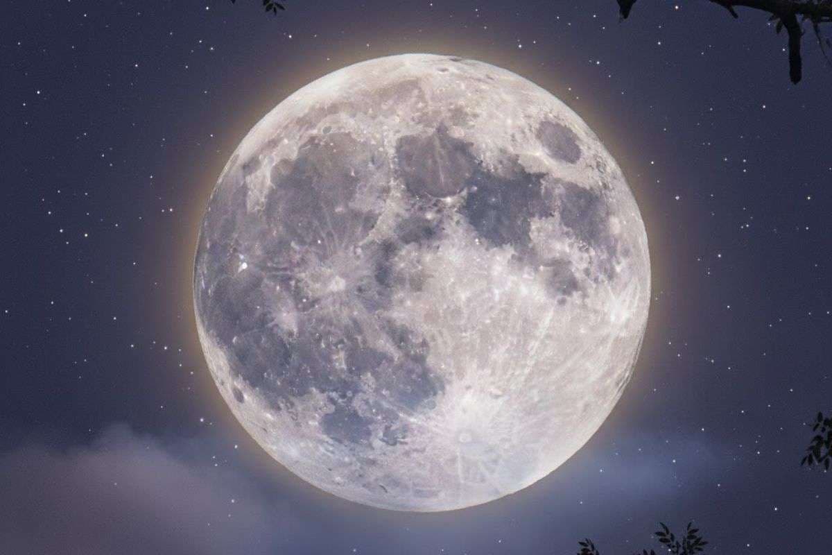 Paush Purnima 2026 Upay: कल है पौष पूर्णिमा, करें ये चमत्कारी उपाय, जीवन की सभी परेशानियां होंगी दूर