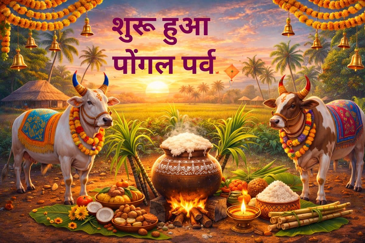 Pongal 2026: पोंगल पर्व शुरू, जानें इसका धार्मिक और सांस्कृतिक महत्व
