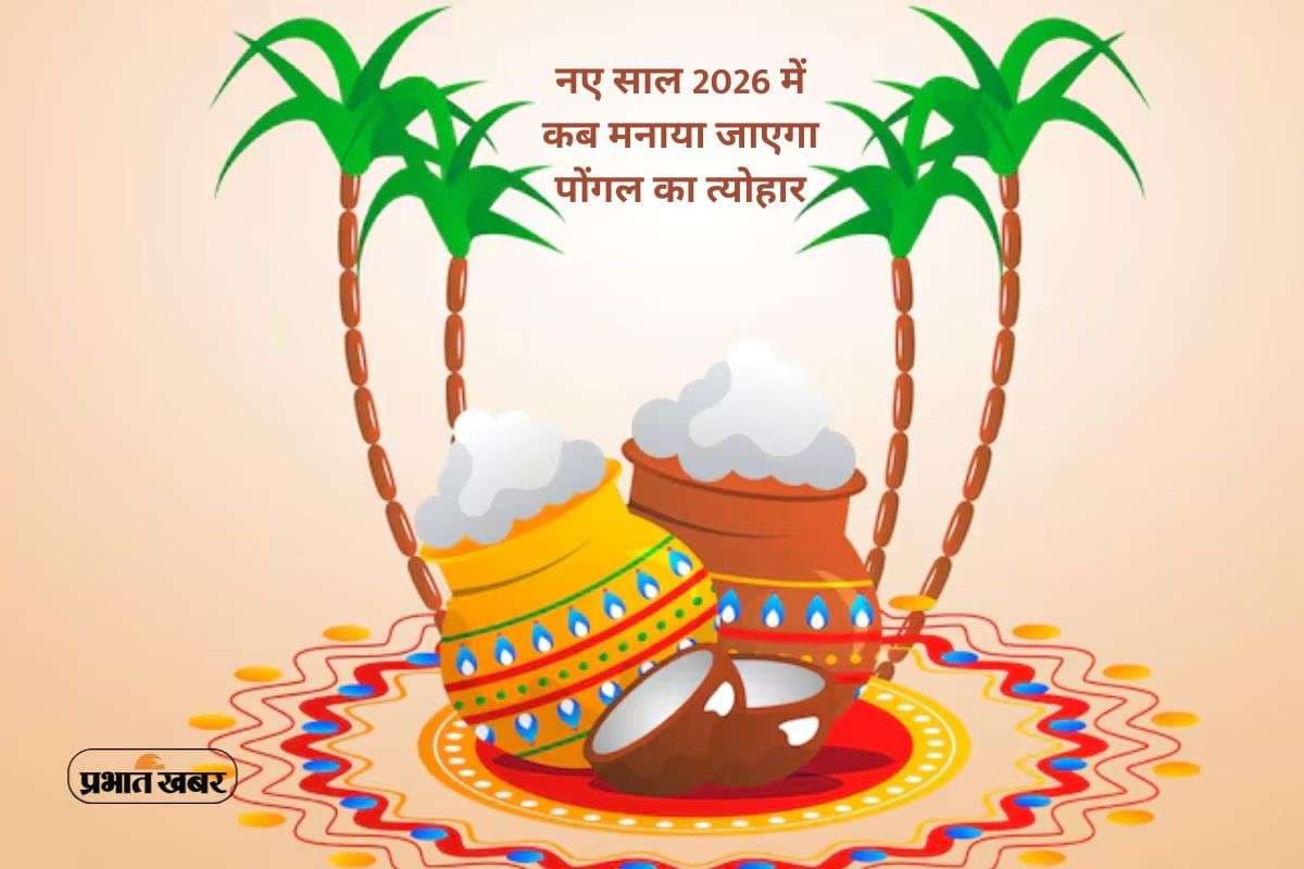 Pongal 2026: इस साल कब मनाया जाएगा पोंगल का त्योहार, यहां से जानें सही डेट्स