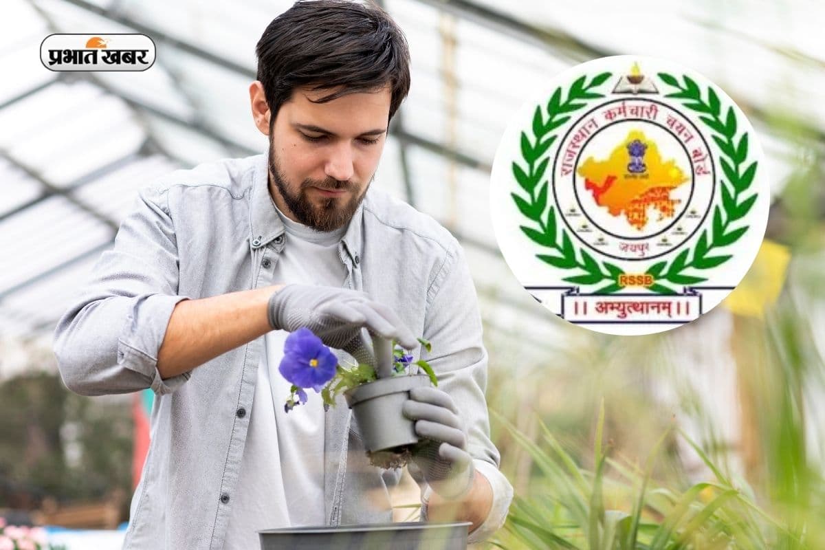 RSSB Agriculture Supervisor Recruitment 2026: 1100 पदों पर एग्रीकल्चर सुपरवाइजर की भर्तियां, जल्द शुरू होगी आवेदन प्रक्रिया