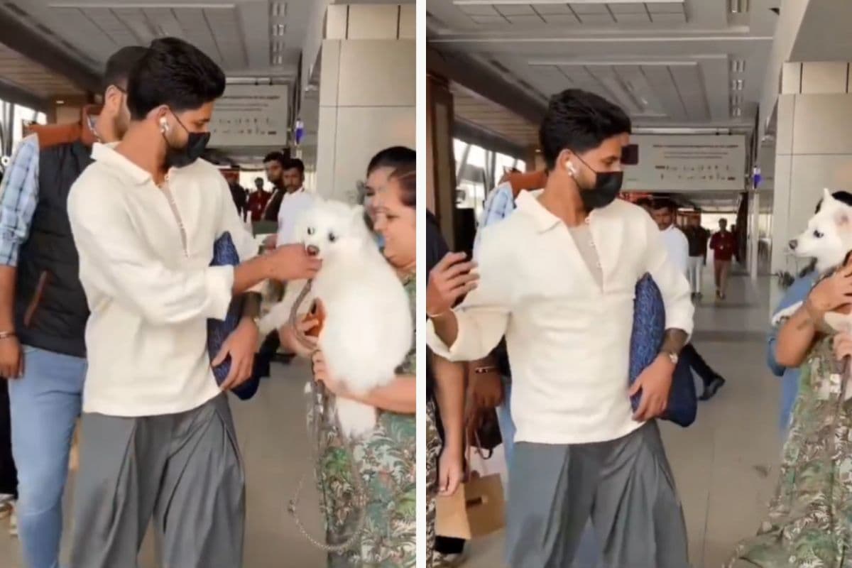 Viral Video: कुत्ते ने Shreyas Iyer को लगभग काट ही लिया था, न्यूजीलैंड सीरीज से पहले बाल-बाल बचे