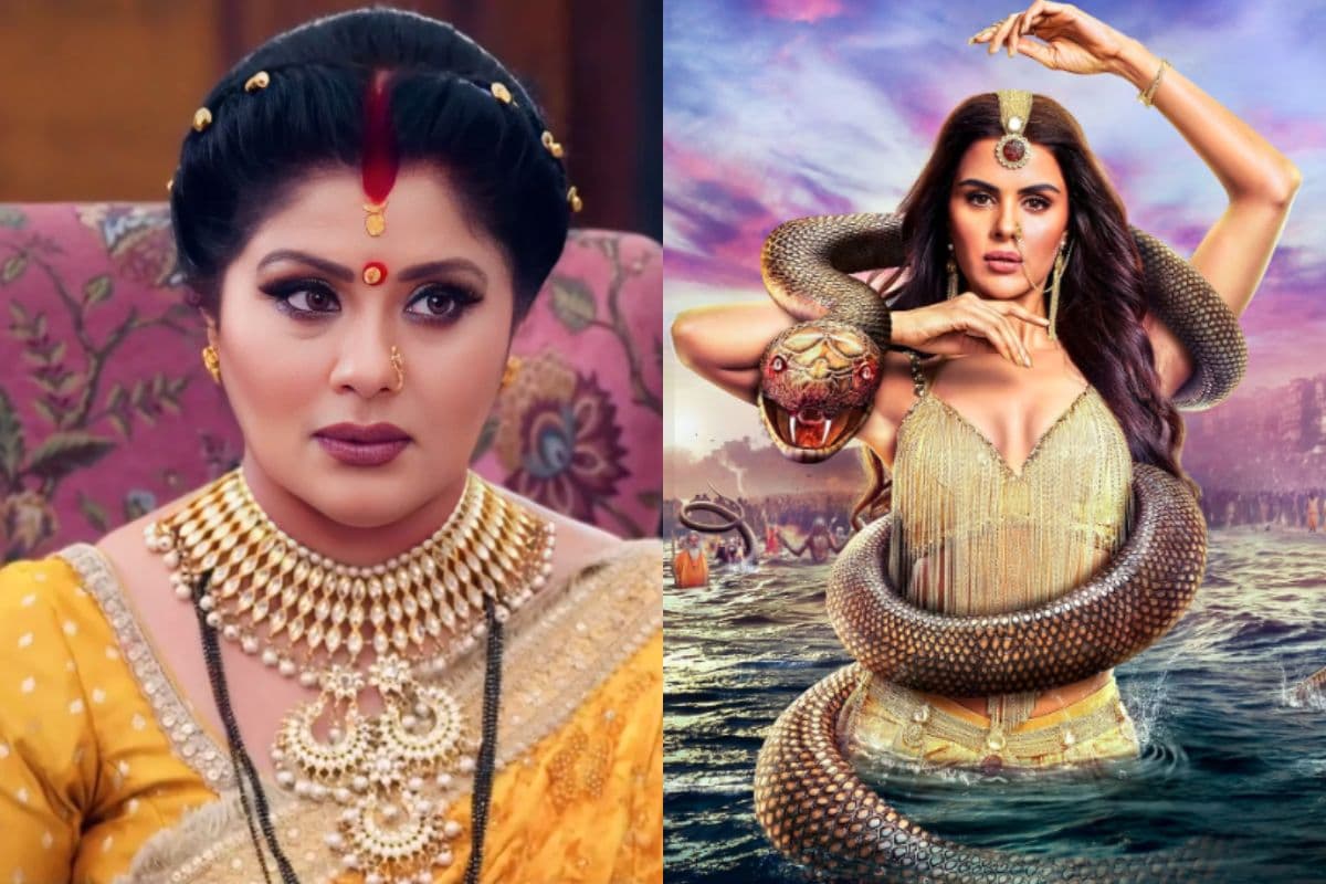 Naagin 7: क्या विलेन बनकर होगी सुधा चंद्रन की धमाकेदार एंट्री? एक्ट्रेस ने खुद खोला राज