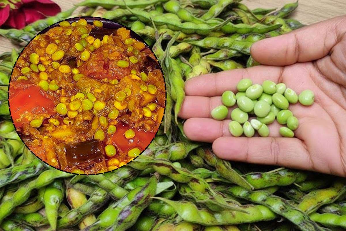 Toor Dana Sabji Recipe: दादी-नानी की रसोई से सर्दियों की खास तूर दाना की सब्जी रेसिपी Toor Dana Sabji Recipe: दादी-नानी की रसोई से सर्दियों की खास तूर दाना की सब्जी रेसिपी