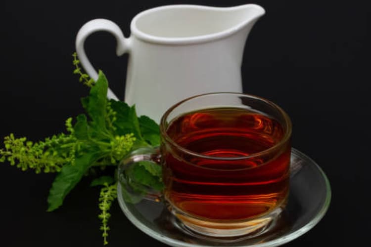 Tulsi Ka Pani Pine Ke Fayde: कई समस्याओं का समाधान है तुलसी का पानी, जान लें इसके फायदे