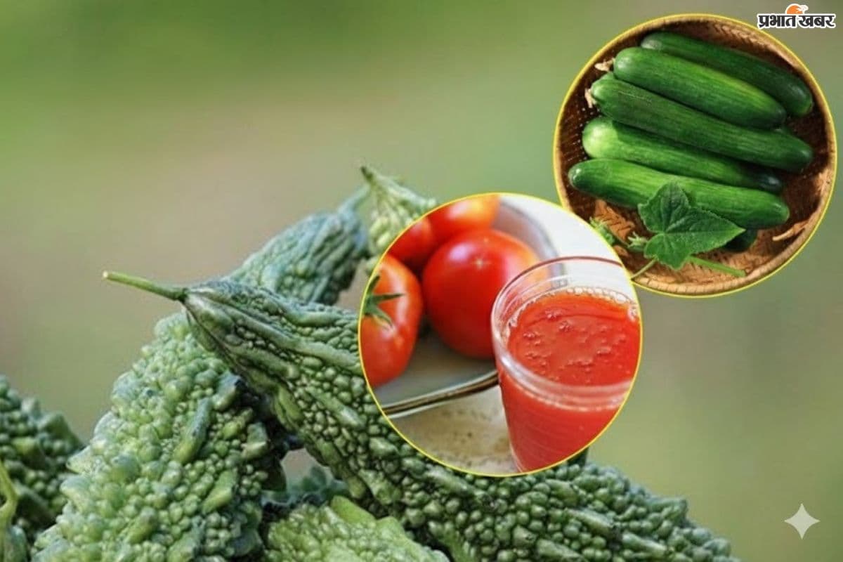 फरवरी में लगाएं खीरा, टमाटर और भिंडी जैसी ये 8 फसलें, मात्र 60 दिनों में होगा बंपर मुनाफा