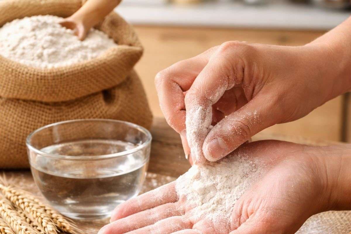 मार्केट का आटा असली या मिलावटी? हाथ में लेते ही कर लेंगे पहचान, जान लें अन्य तरीका